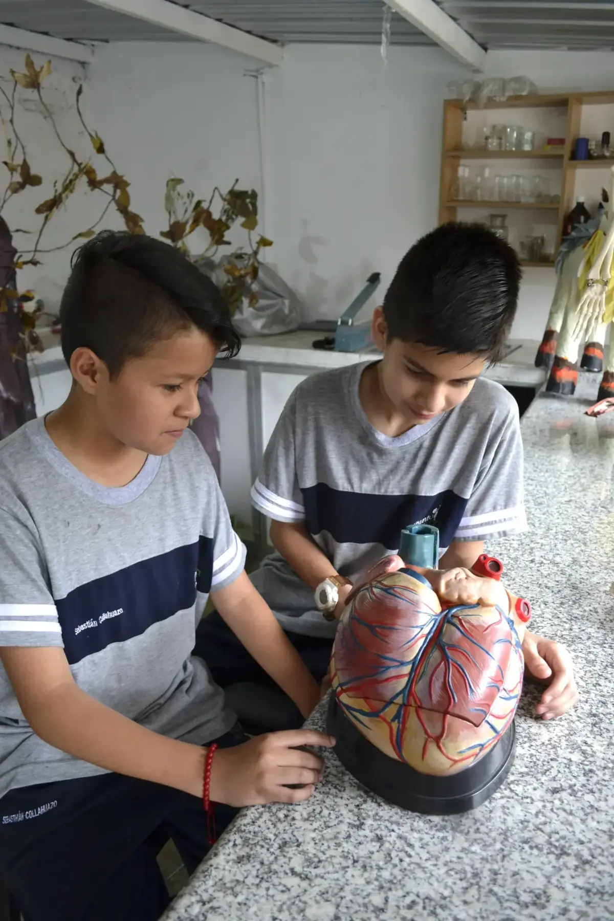Estudiantes de Punto de Partida explorando un modelo anatómico